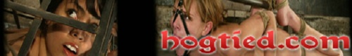 HOGTIED BANNER